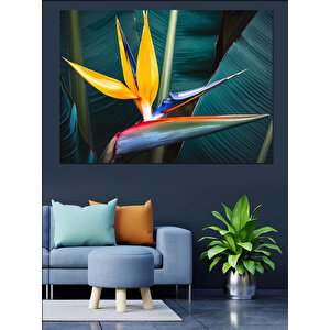 Tropikal Cennet Kuşu Çiçeği Dekoratif Kanvas - Mdf Ahşap Tablo 100x140 cm