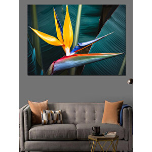 Tropikal Cennet Kuşu Çiçeği Dekoratif Kanvas - Mdf Ahşap Tablo 100x140 cm