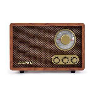 Dsy-r08 Retro Radyo Ceviz