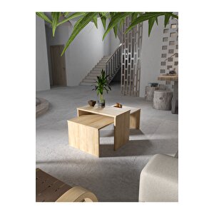2'li Orta Sehpa | Salon Sehpası - Safir Meşe Safir Meşe