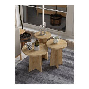 Mantar 3'lü Zigon Sehpa İskandinav Stili - Safir Meşe Safir Meşe