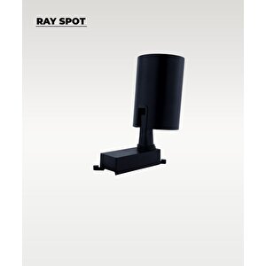30w Siyah Ray Spot 4000k (gün Işığı)