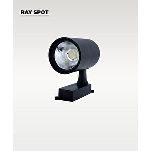 30w Siyah Ray Spot 4000k (gün Işığı)