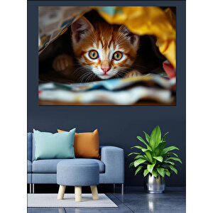 Battaniyede Saklanan Yavru Kedi Dekoratif Kanvas - Mdf Ahşap Tablo