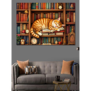 Kütüphane Ve Uyuyan Kedi Dekoratif Kanvas - Mdf Ahşap Tablo