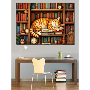 Kütüphane Ve Uyuyan Kedi Dekoratif Kanvas - Mdf Ahşap Tablo