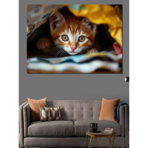 Battaniyede Saklanan Yavru Kedi Dekoratif Kanvas - Mdf Ahşap Tablo 70x100 cm