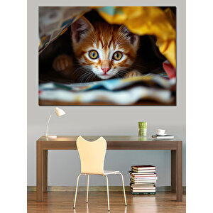 Battaniyede Saklanan Yavru Kedi Dekoratif Kanvas - Mdf Ahşap Tablo 70x100 cm