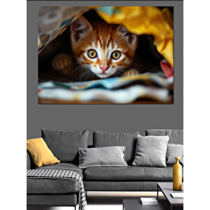 Battaniyede Saklanan Yavru Kedi Dekoratif Kanvas - Mdf Ahşap Tablo 70x100 cm