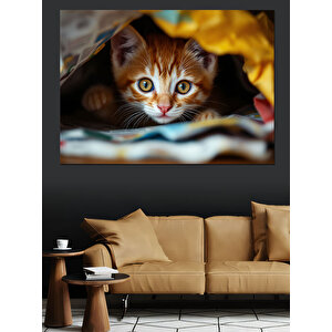 Battaniyede Saklanan Yavru Kedi Dekoratif Kanvas - Mdf Ahşap Tablo