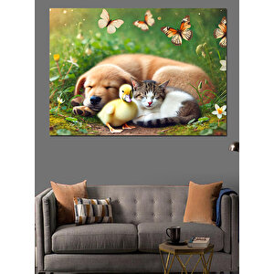 Köpek Ve Kedi Dostluğu Dekoratif Kanvas - Mdf Ahşap Tablo 50x70 cm