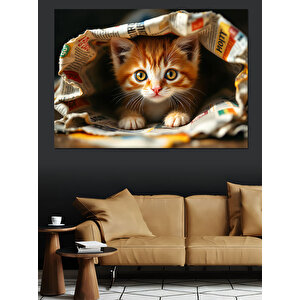 Gazetenin Altında Yavru Kedi Dekoratif Kanvas - Mdf Ahşap Tablo 70x100 cm