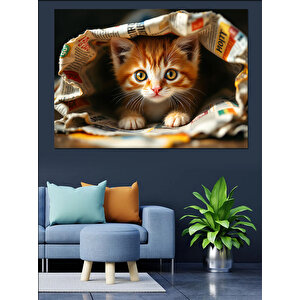 Gazetenin Altında Yavru Kedi Dekoratif Kanvas - Mdf Ahşap Tablo 100x140 cm