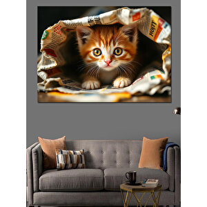 Gazetenin Altında Yavru Kedi Dekoratif Kanvas - Mdf Ahşap Tablo 100x140 cm