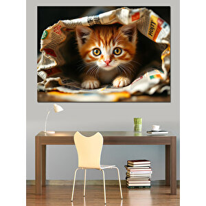 Gazetenin Altında Yavru Kedi Dekoratif Kanvas - Mdf Ahşap Tablo