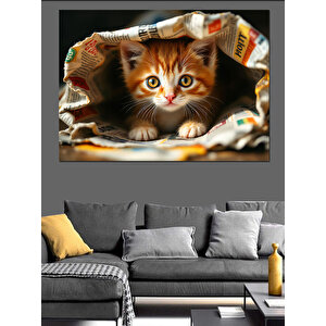 Gazetenin Altında Yavru Kedi Dekoratif Kanvas - Mdf Ahşap Tablo