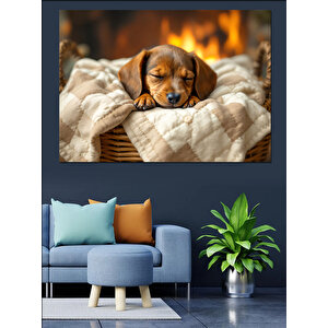 Yastıkta Uyuyan Küçük Yavru Köpek Dekoratif Kanvas - Mdf Ahşap Tablo