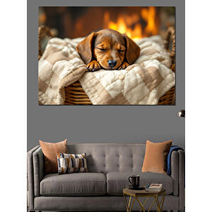 Yastıkta Uyuyan Küçük Yavru Köpek Dekoratif Kanvas - Mdf Ahşap Tablo