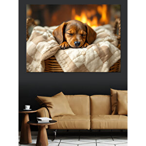 Yastıkta Uyuyan Küçük Yavru Köpek Dekoratif Kanvas - Mdf Ahşap Tablo 25x35 cm