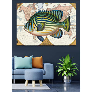 Antik Haritalı Balık Çizimi Dekoratif Kanvas - Mdf Ahşap Tablo 50x70 cm