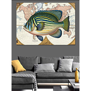 Antik Haritalı Balık Çizimi Dekoratif Kanvas - Mdf Ahşap Tablo 35x50 cm