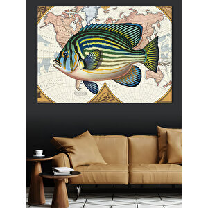 Antik Haritalı Balık Çizimi Dekoratif Kanvas - Mdf Ahşap Tablo 35x50 cm