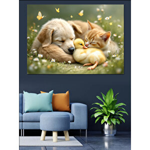 Köpek Ve Kedi Uyuyor Dekoratif Kanvas - Mdf Ahşap Tablo