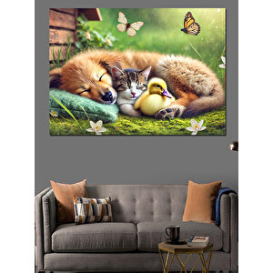 Sevimli Uyuyan Hayvanlar Dekoratif Kanvas - Mdf Ahşap Tablo 100x140 cm