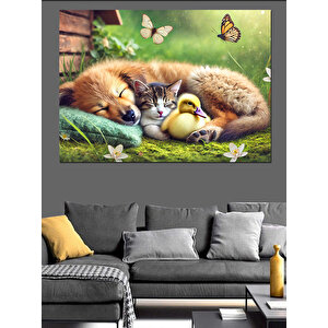 Sevimli Uyuyan Hayvanlar Dekoratif Kanvas - Mdf Ahşap Tablo