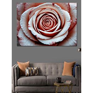 Gül Detaylı Spiral Dekoratif Kanvas - Mdf Ahşap Tablo