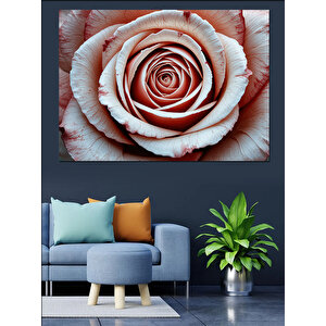 Gül Detaylı Spiral Dekoratif Kanvas - Mdf Ahşap Tablo