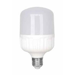 Winlight Wl-t40 40 Watt Torch Led Ampul Wınlıght