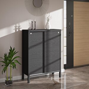 Venezia 2 Sürgülü Kapaklı, Ahşap Ayaklı, Premium Ayakkabılık, Çok Amaçlı Dolap - Minifiks - Wood Siyah