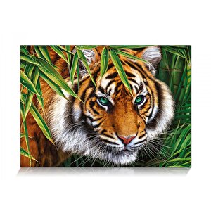 Kaplan Bakışı 500 Parça Puzzle