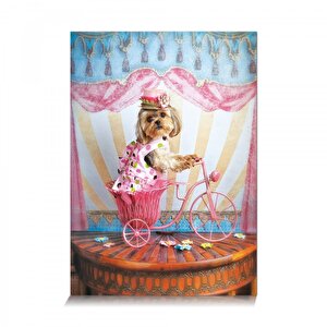 Hayalperest Gezgin 500 Parça Puzzle
