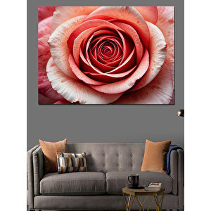 Yakından Görülen Pembe Gül Dekoratif Kanvas - Mdf Ahşap Tablo 35x50 cm