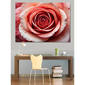 Yakından Görülen Pembe Gül Dekoratif Kanvas - Mdf Ahşap Tablo 35x50 cm