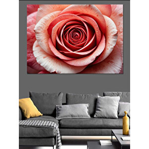 Yakından Görülen Pembe Gül Dekoratif Kanvas - Mdf Ahşap Tablo 35x50 cm