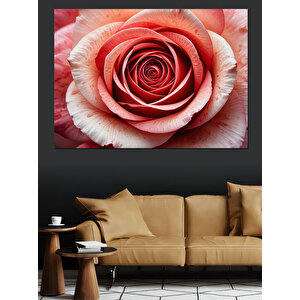 Yakından Görülen Pembe Gül Dekoratif Kanvas - Mdf Ahşap Tablo