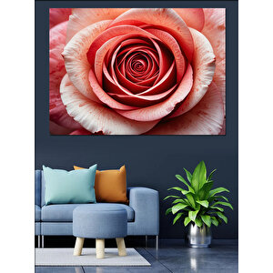 Yakından Görülen Pembe Gül Dekoratif Kanvas - Mdf Ahşap Tablo