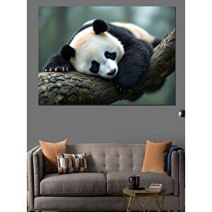 Uyuyan Dev Panda Dekoratif Kanvas - Mdf Ahşap Tablo 70x100 cm