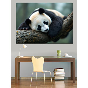 Uyuyan Dev Panda Dekoratif Kanvas - Mdf Ahşap Tablo 50x70 cm