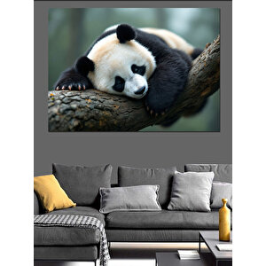 Uyuyan Dev Panda Dekoratif Kanvas - Mdf Ahşap Tablo 50x70 cm