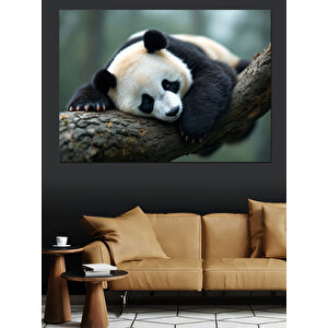 Uyuyan Dev Panda Dekoratif Kanvas - Mdf Ahşap Tablo