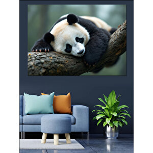 Uyuyan Dev Panda Dekoratif Kanvas - Mdf Ahşap Tablo