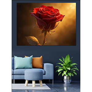 Karanlıkta Kırmızı Gül Dekoratif Kanvas - Mdf Ahşap Tablo 70x100 cm