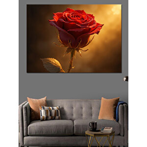 Karanlıkta Kırmızı Gül Dekoratif Kanvas - Mdf Ahşap Tablo 70x100 cm