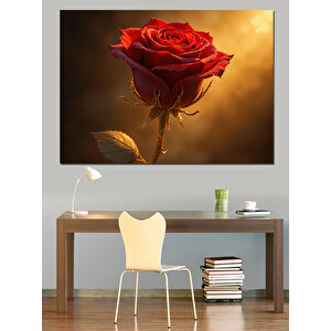 Karanlıkta Kırmızı Gül Dekoratif Kanvas - Mdf Ahşap Tablo 70x100 cm