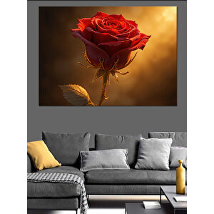 Karanlıkta Kırmızı Gül Dekoratif Kanvas - Mdf Ahşap Tablo