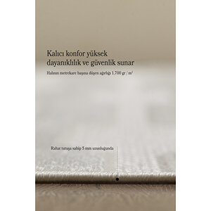 Modern Halı Yıkanabilir Halı Kaymaz Tabanlı Halı Şık Halı Salon Halısı Mutfak Halısı Sisal Halı